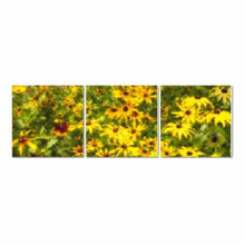 Load image into Gallery viewer, Field Of Black-Eyed Susans
