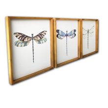 Load image into Gallery viewer, Set of Three Dragonfly Wood Framed Canvas Wall Art
