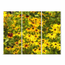 Load image into Gallery viewer, Field Of Black-Eyed Susans

