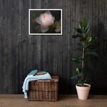 Load image into Gallery viewer, Rose on framed canvas
